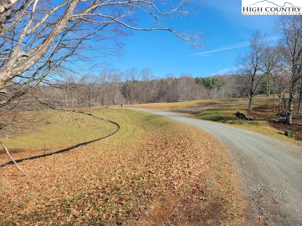 Image number 3 for the current listing