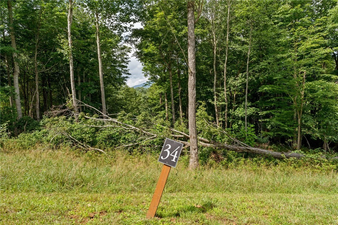 Image number 1 for the current listing