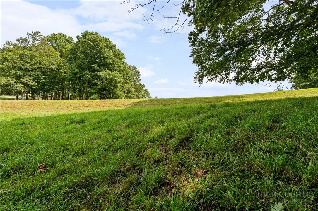 Image number 2 for the current listing
