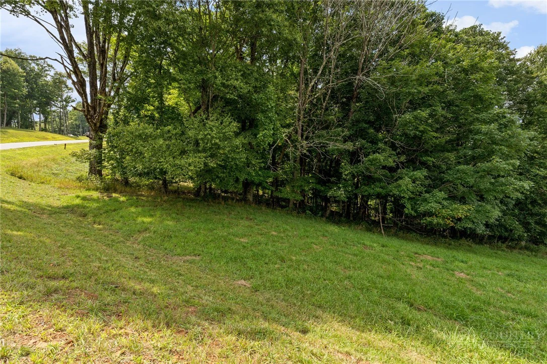 Image number 4 for the current listing