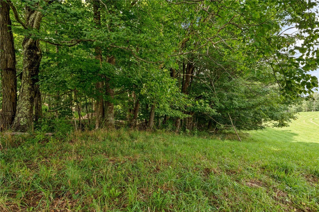 Image number 9 for the current listing