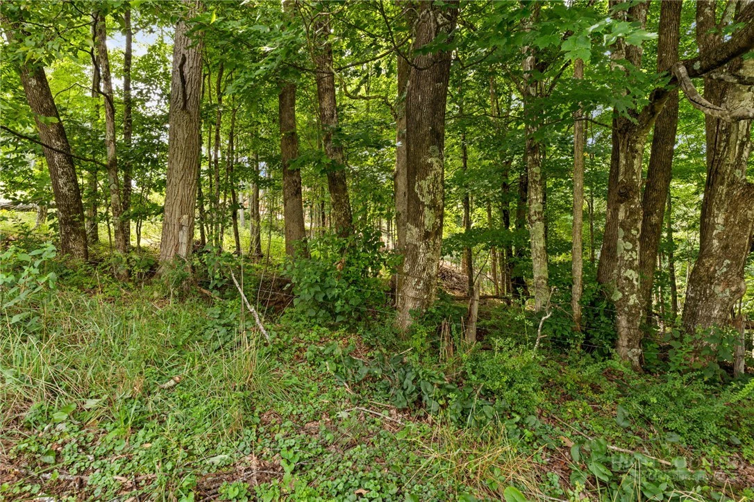 Image number 10 for the current listing