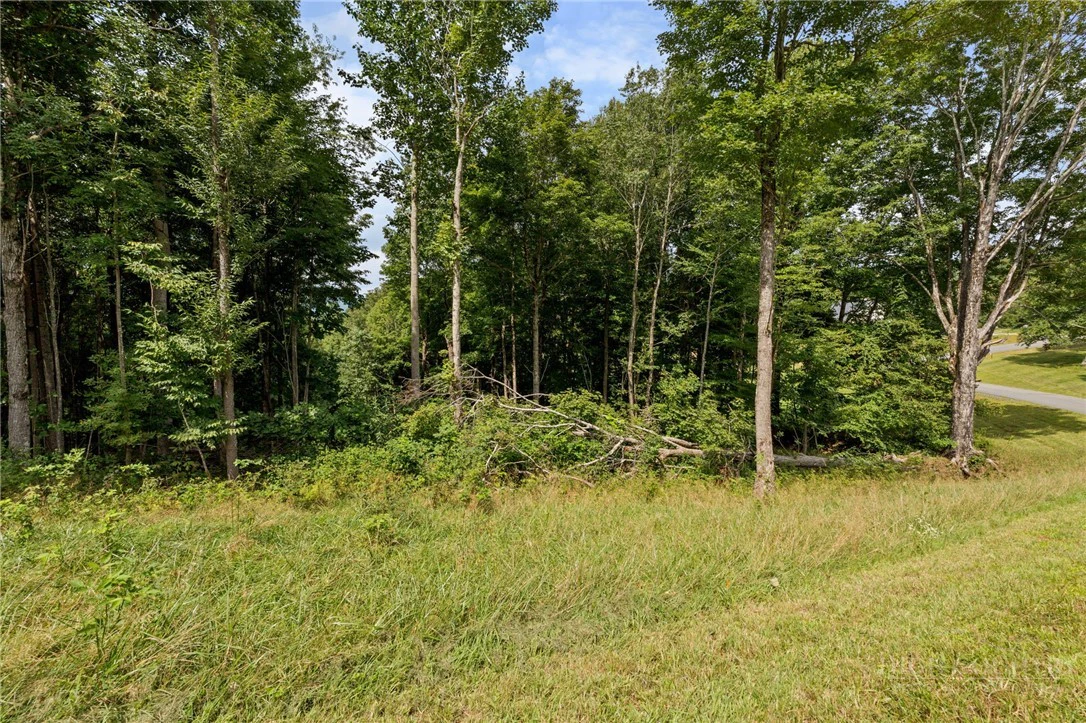 Image number 11 for the current listing