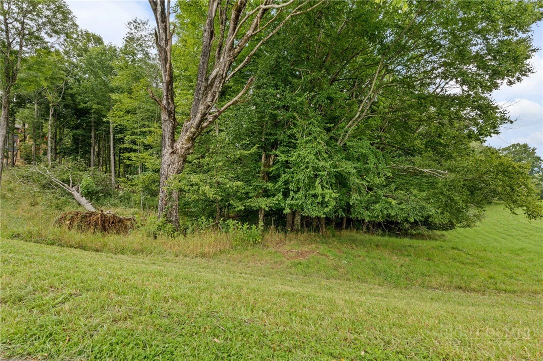 Image number 12 for the current listing