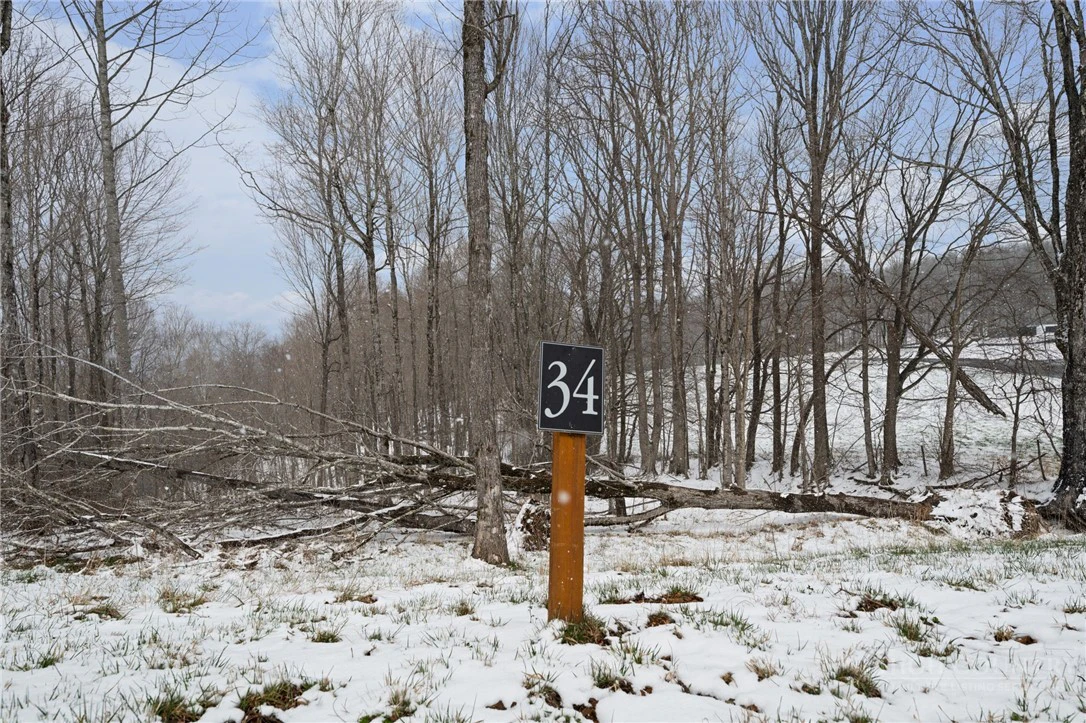 Image number 13 for the current listing