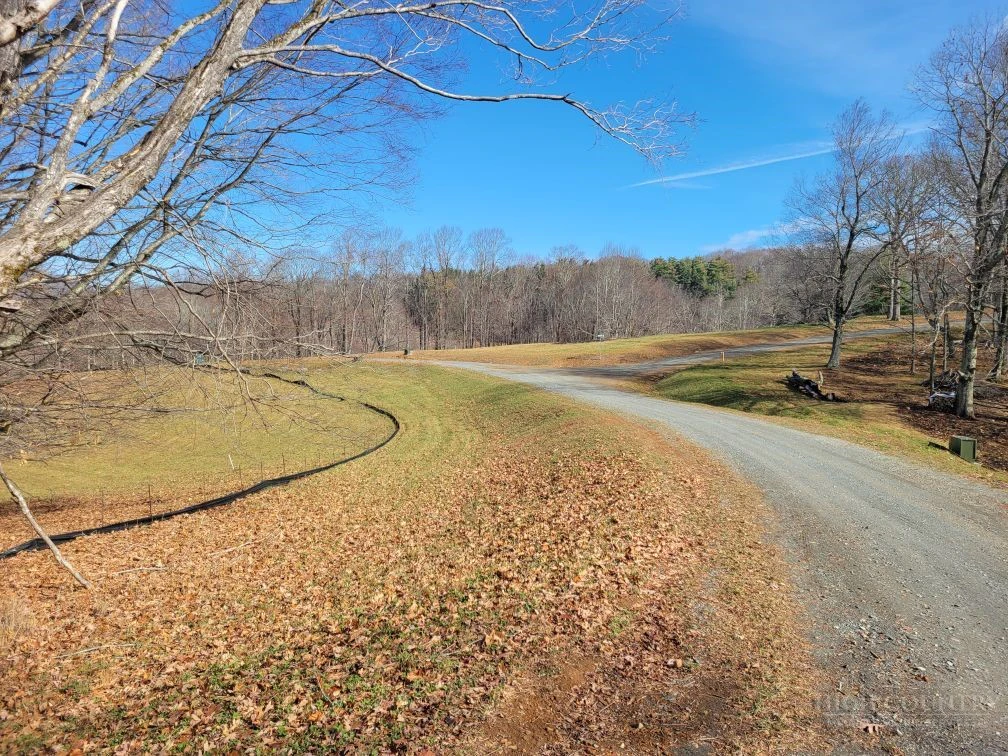 Image number 18 for the current listing