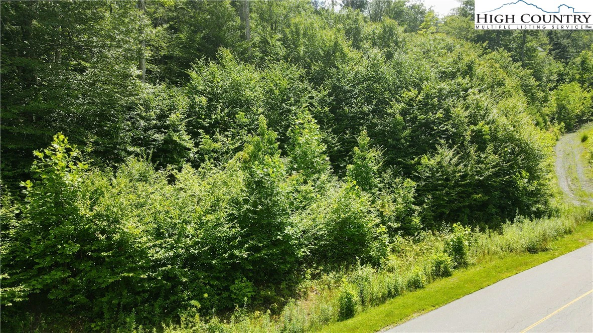 Image number 3 for the current listing