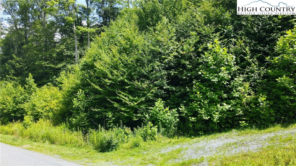 Image number 4 for the current listing