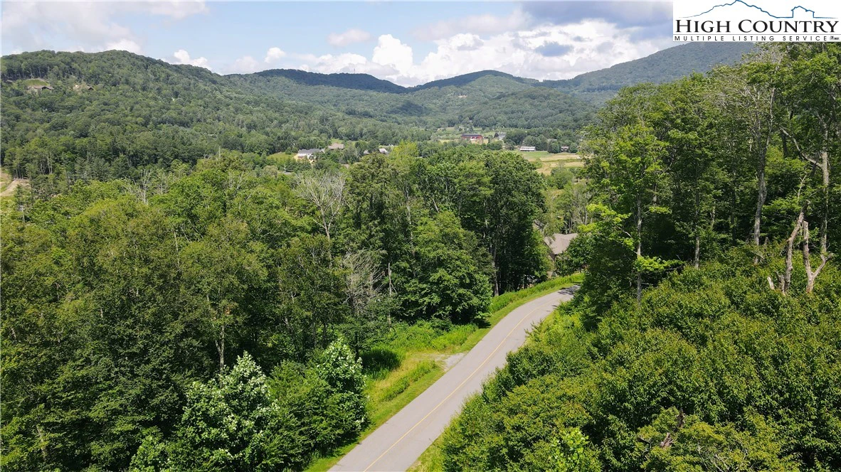 Image number 11 for the current listing