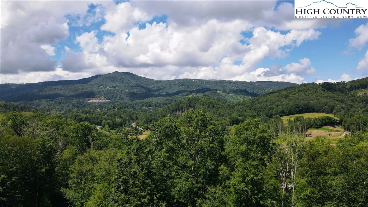Image number 12 for the current listing