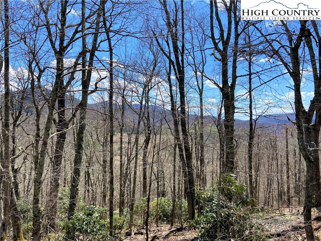 Image number 1 for the current listing