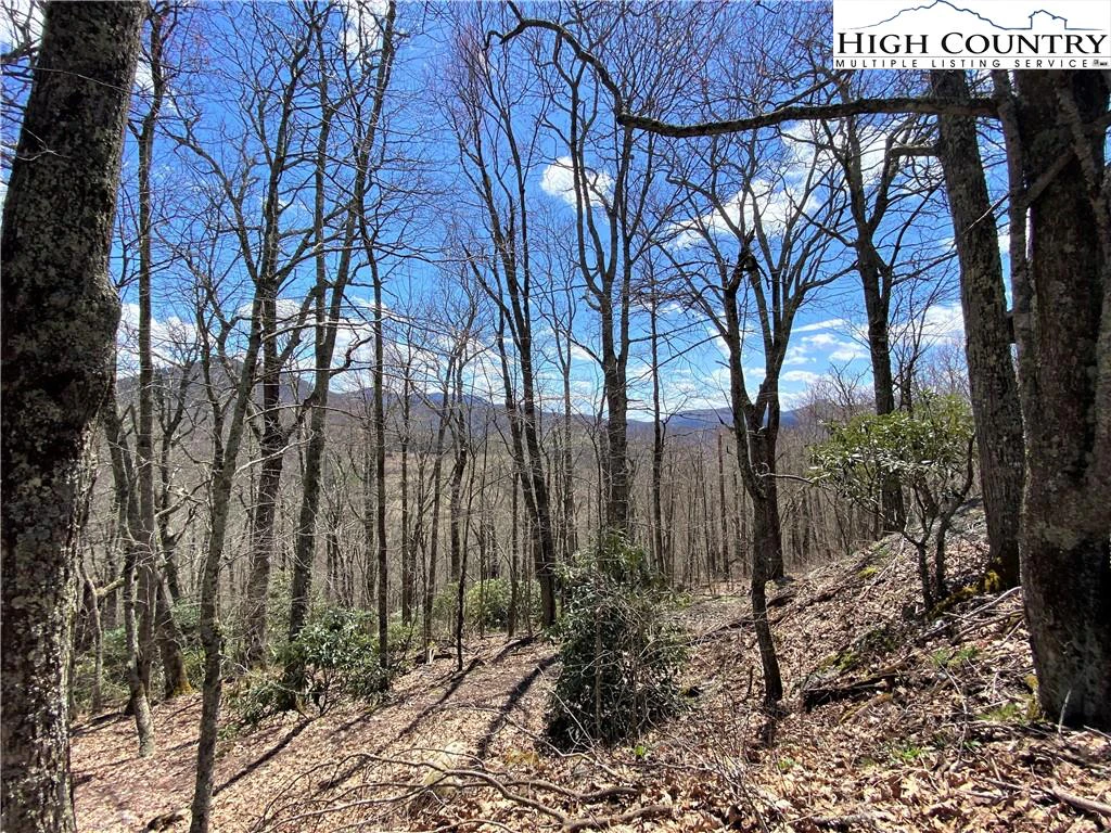 Image number 3 for the current listing