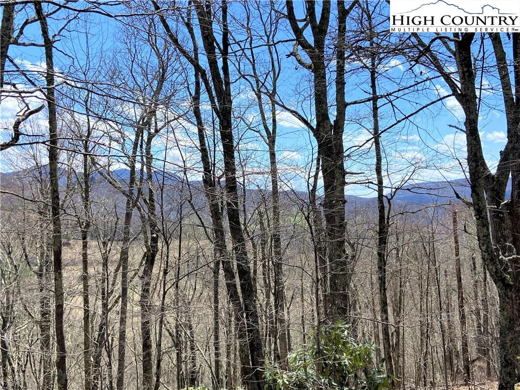 Image number 4 for the current listing