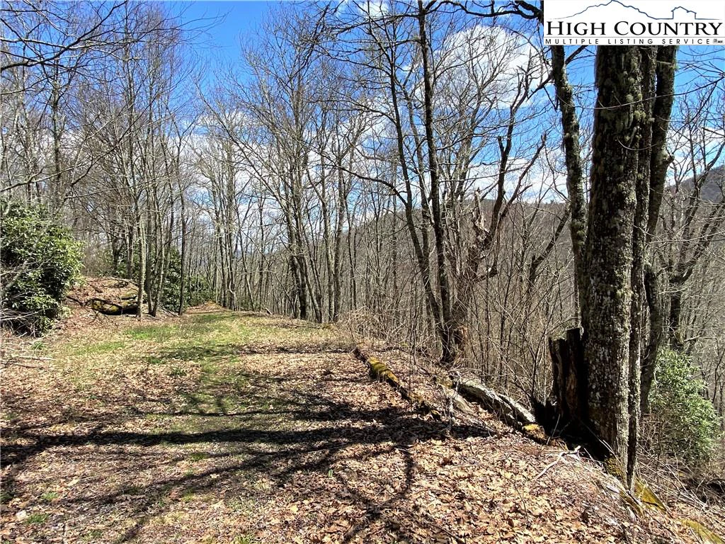 Image number 5 for the current listing