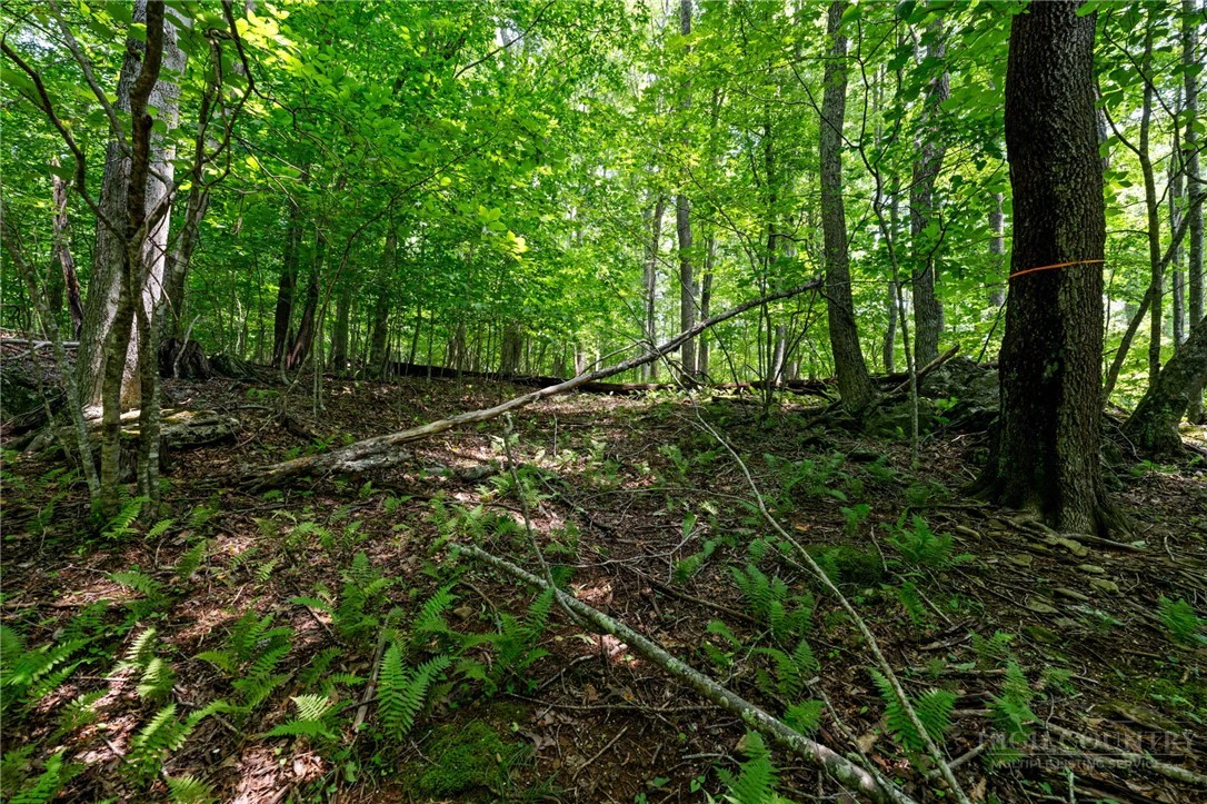 Image number 11 for the current listing