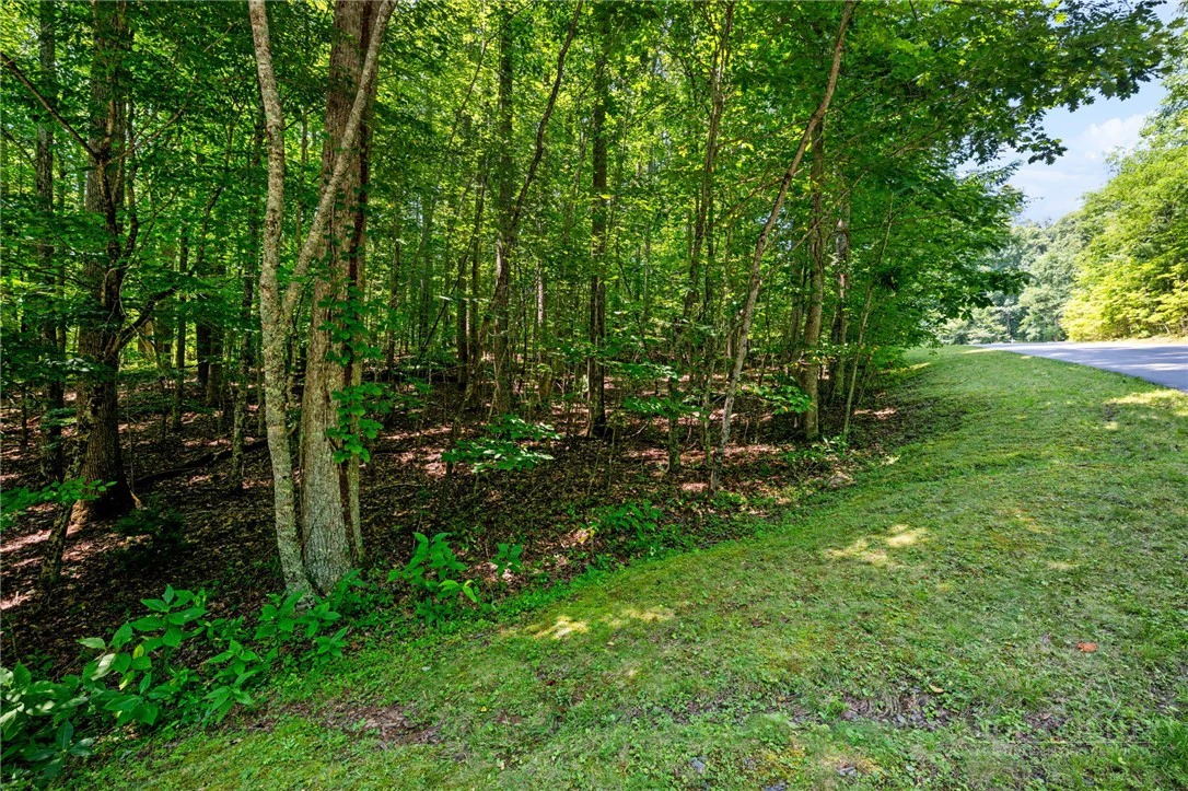 Image number 9 for the current listing