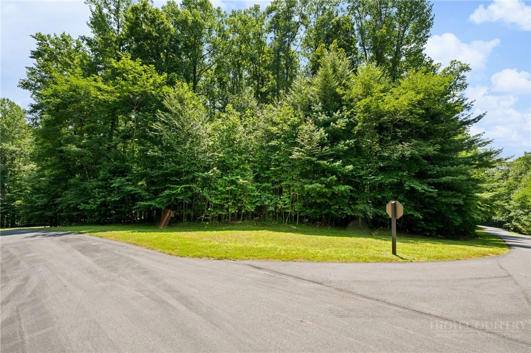 Image number 7 for the current listing