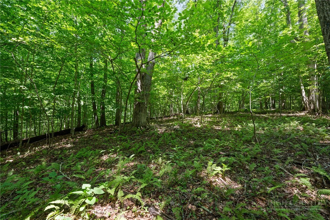 Image number 12 for the current listing