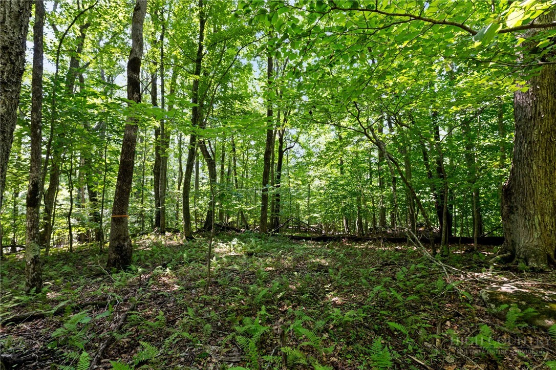 Image number 2 for the current listing