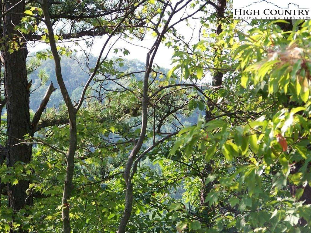 Image number 3 for the current listing