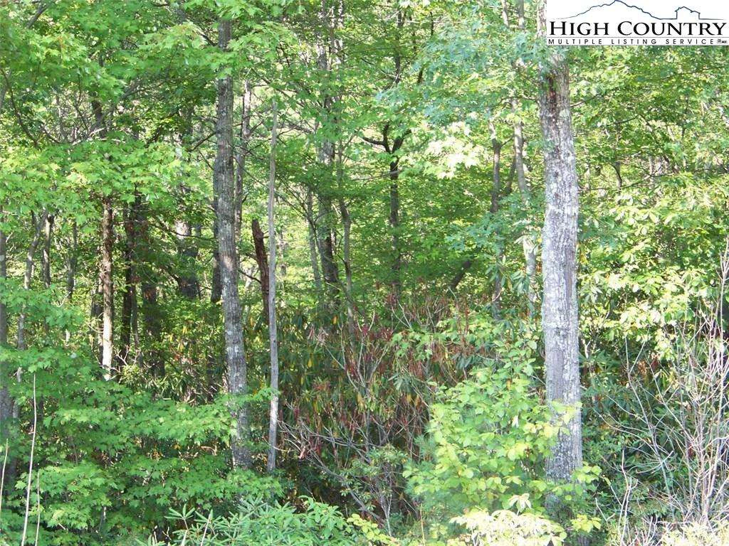 Image number 4 for the current listing