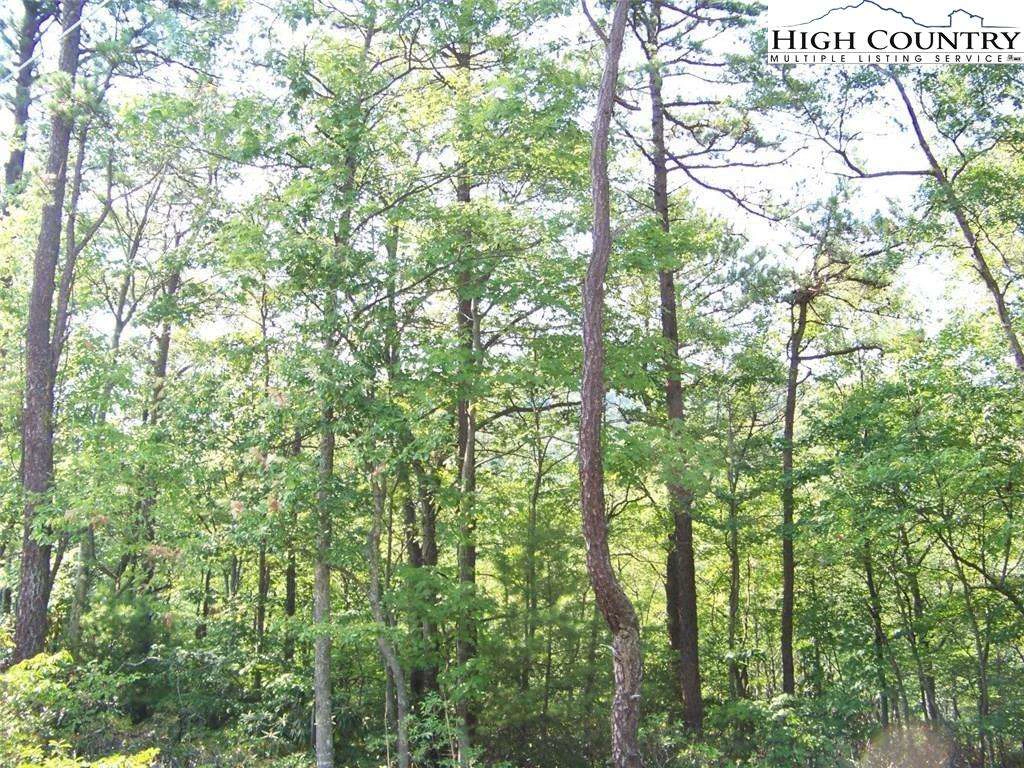 Image number 5 for the current listing