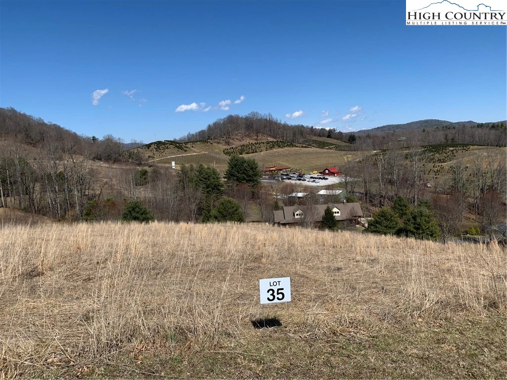 Image number 1 for the current listing