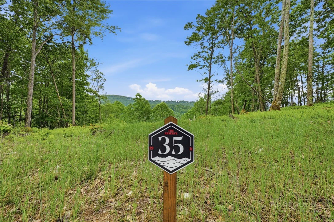 Image number 16 for the current listing