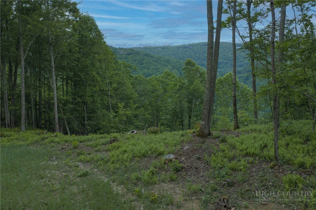 Image number 13 for the current listing