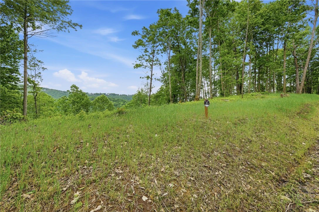 Image number 2 for the current listing