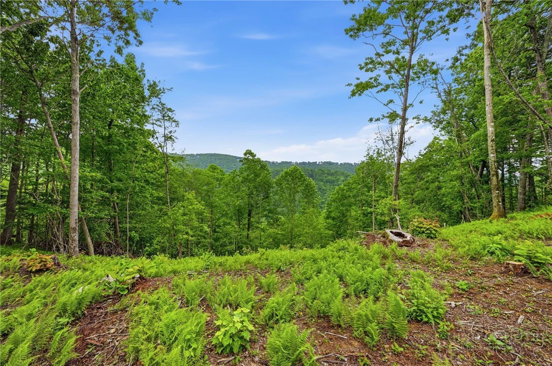 Image number 12 for the current listing