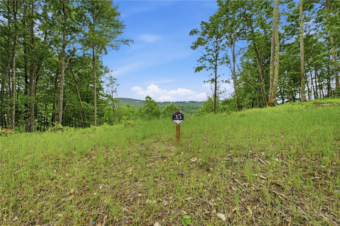 Image number 9 for the current listing