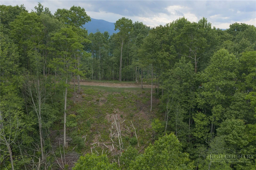 Image number 8 for the current listing