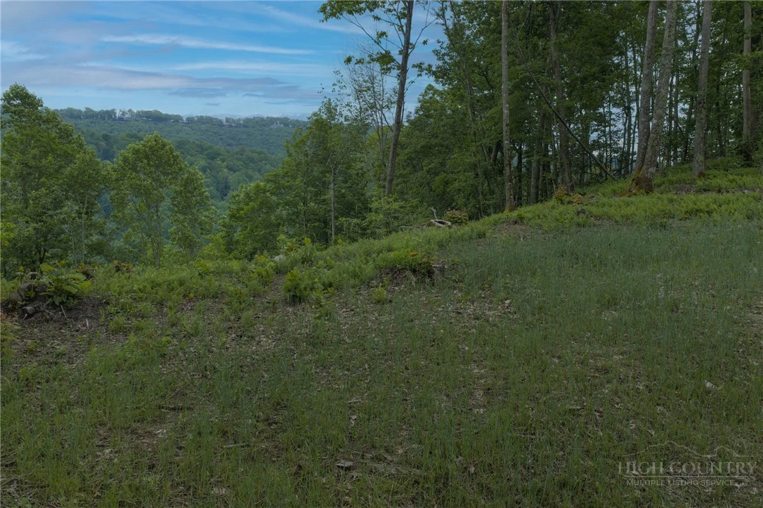 Image number 5 for the current listing