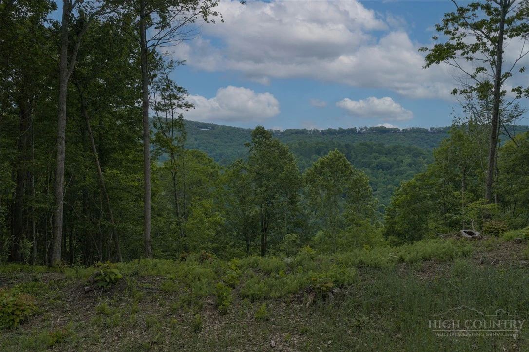 Image number 3 for the current listing