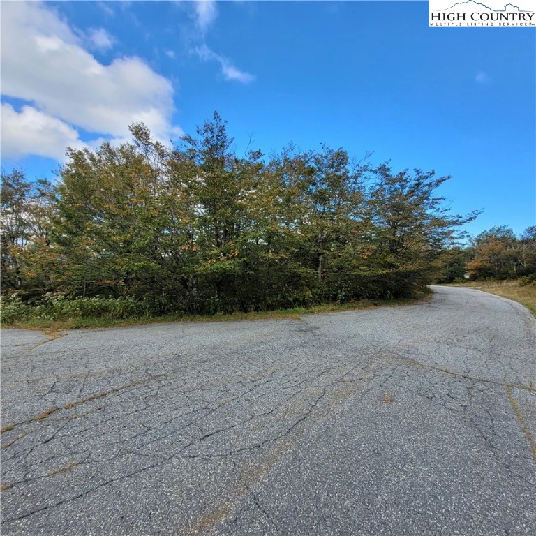 Image number 6 for the current listing