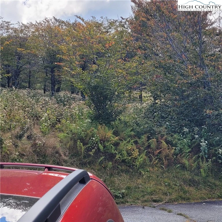Image number 7 for the current listing
