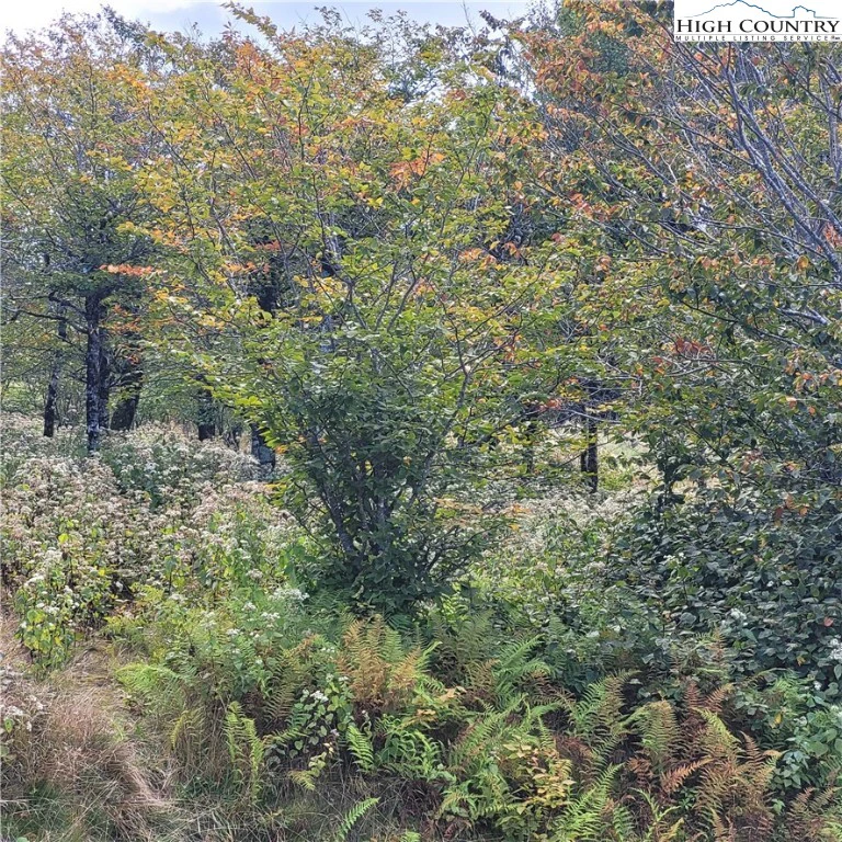 Image number 8 for the current listing