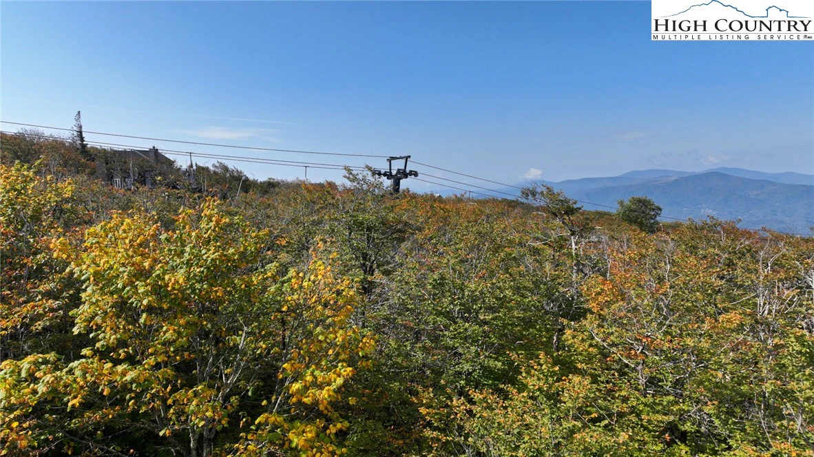 Image number 1 for the current listing