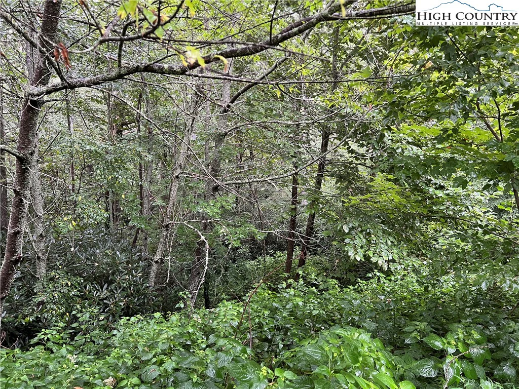 Image number 3 for the current listing