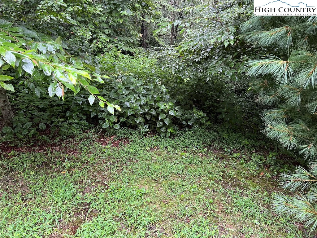 Image number 6 for the current listing