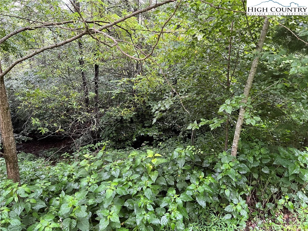 Image number 7 for the current listing