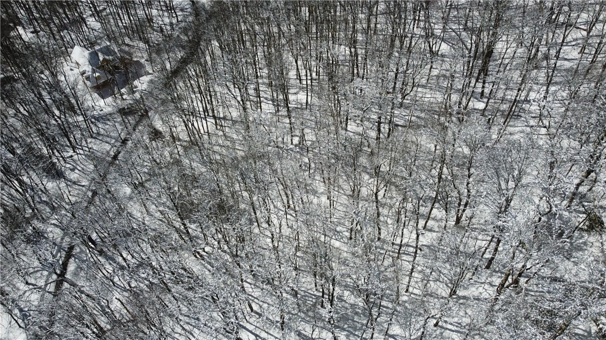 Image number 11 for the current listing