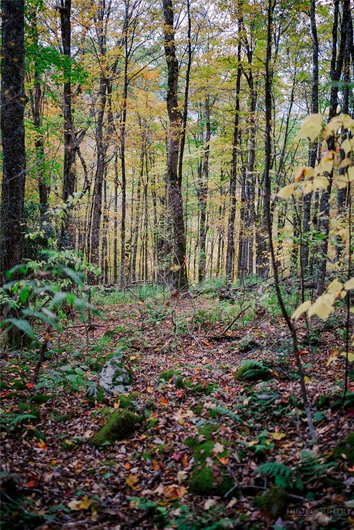 Image number 7 for the current listing