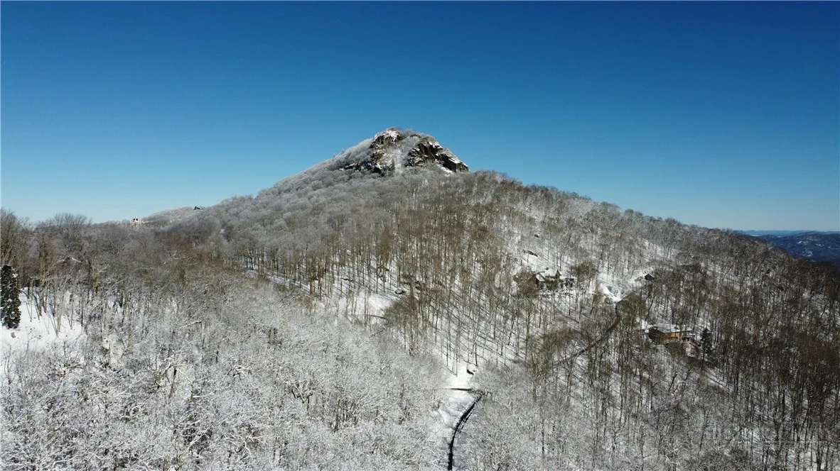 Image number 18 for the current listing