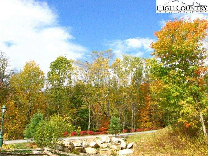 Image number 4 for the current listing