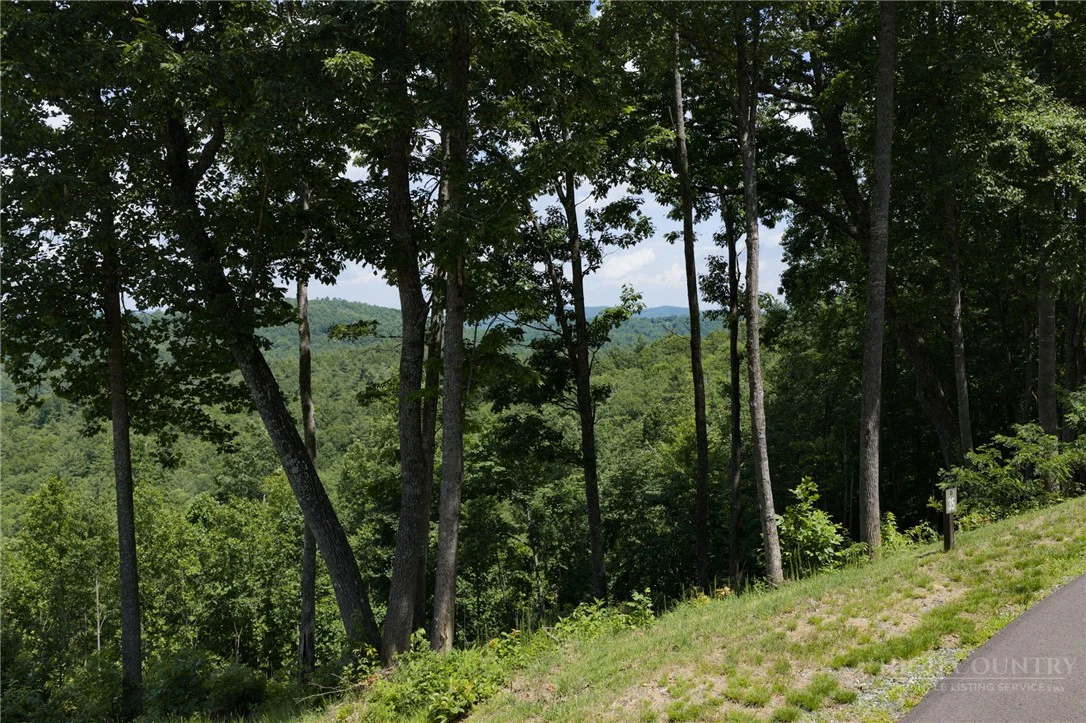 Image number 19 for the current listing