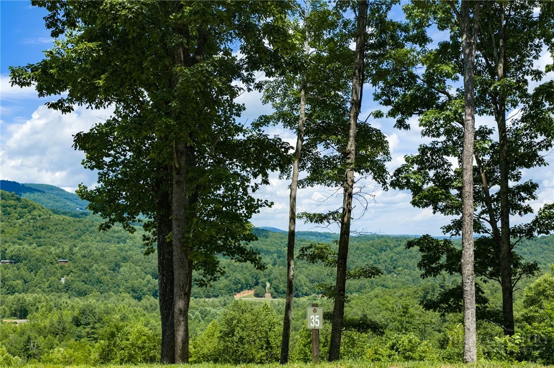 Image number 2 for the current listing