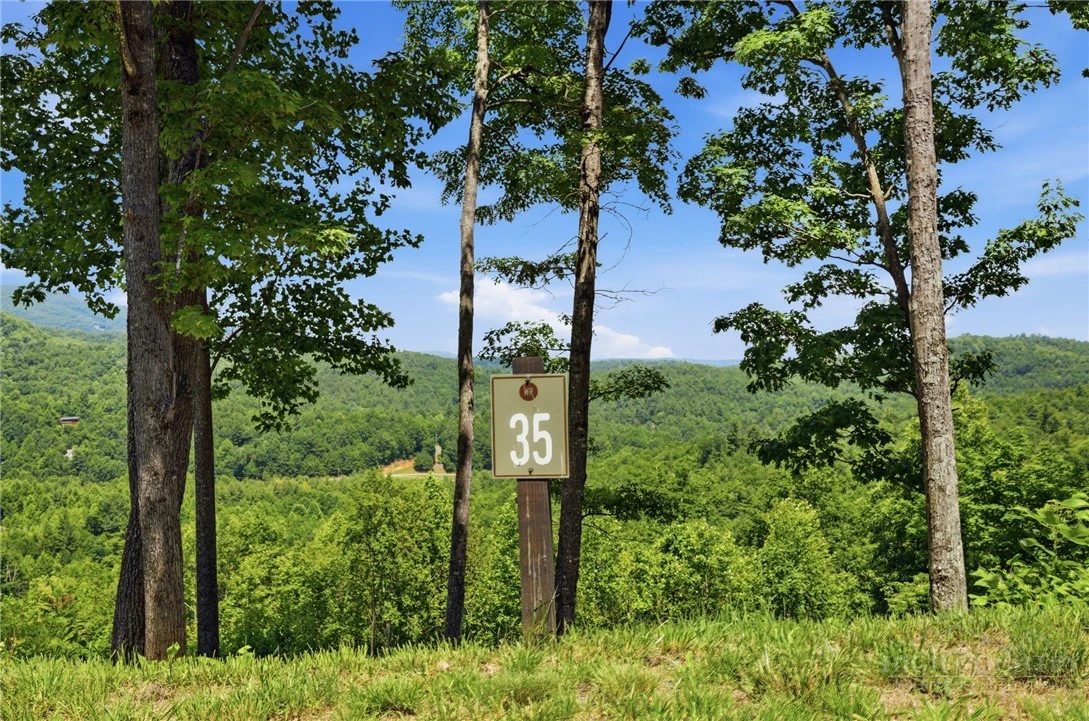 Image number 5 for the current listing