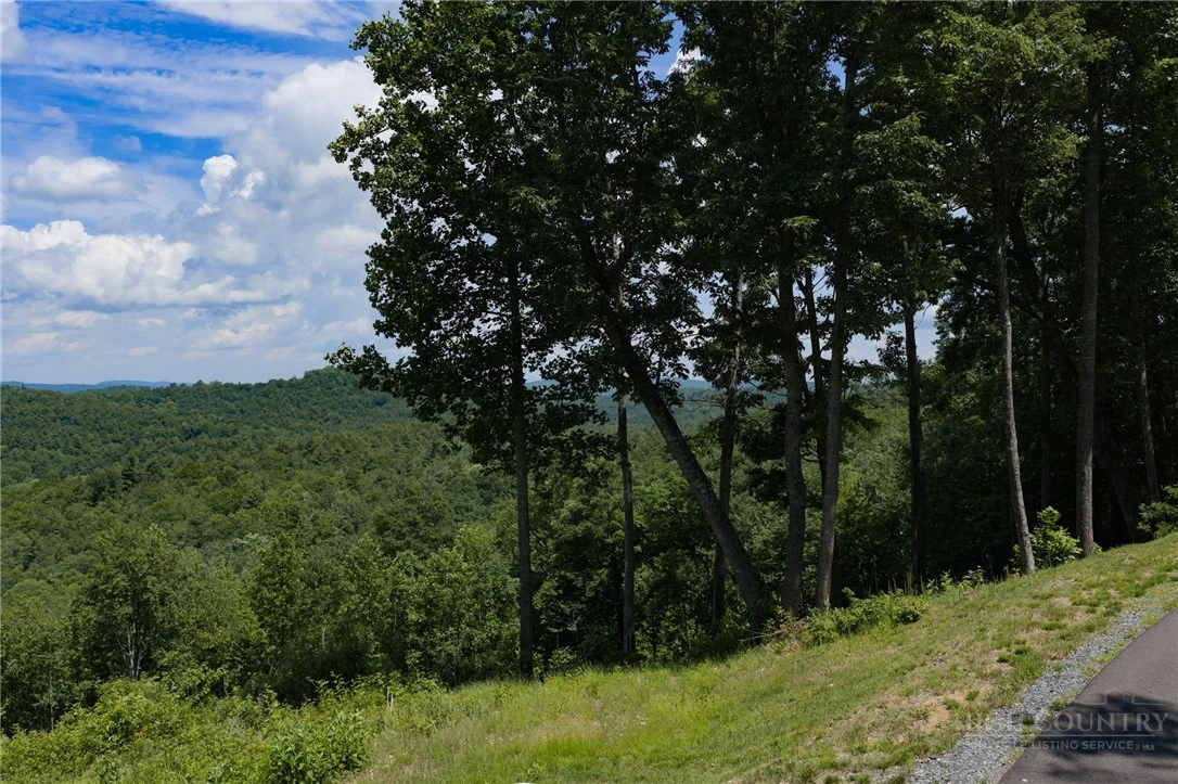 Image number 17 for the current listing